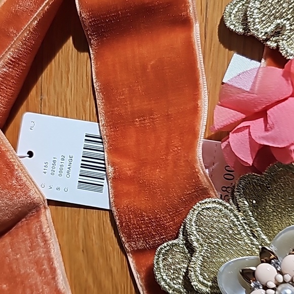 NWT Anthropologie Beautiful Zach & Belts Fall Colors Delicate accessory - Picture 5 of 7